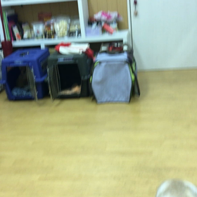 来られるようになった事がミラクル。の画像