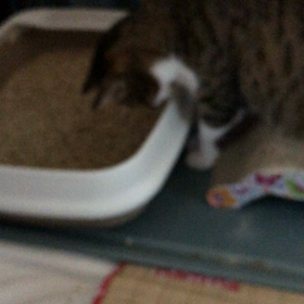 今日はジムを休まないとダメかも…の画像