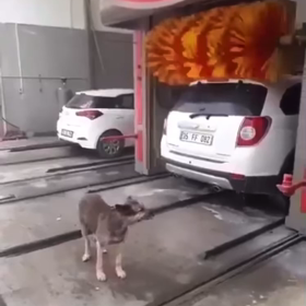 ご相伴とは　笑の画像