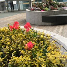 強風注意！の画像