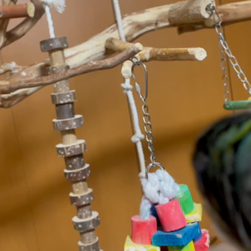 今日は雪が降ってたなぁ〜の画像