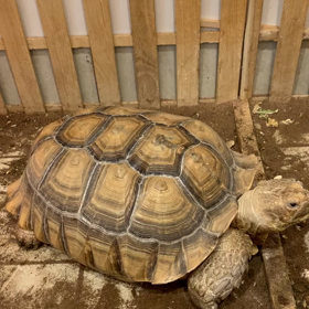 4/23（土）パソコン教室への画像