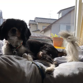 ■ねむたい坊や■の画像