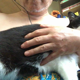 毛づくろいの画像