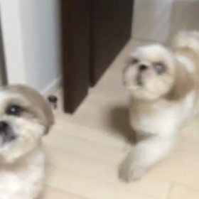 懐かしいの画像