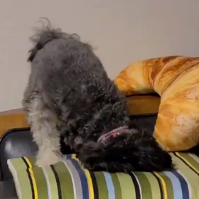 ホリホリの画像