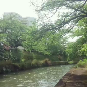 某 大手テレビ局を脱サラしました！の画像