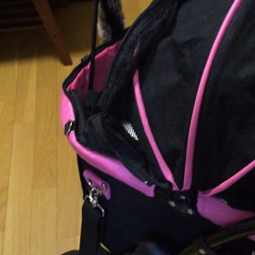 こんにちは、僕たちはここですの画像