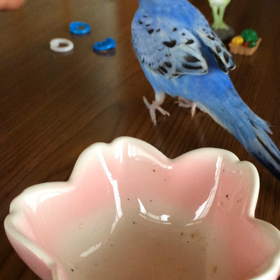 ズルい！？の画像