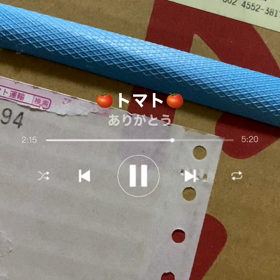 彩の国からの画像