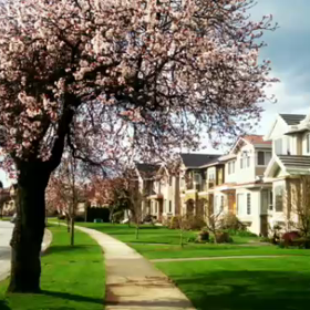 カナダで自分の趣味を生かそう〜ハープのご紹介♫の画像
