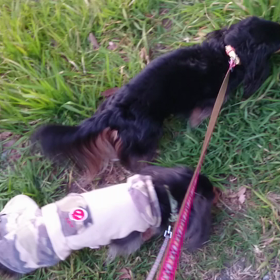 選ばれし者の画像