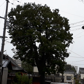 台風19号の画像