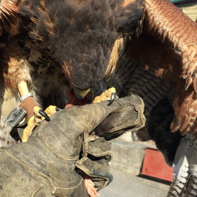 1日休みまして…の画像