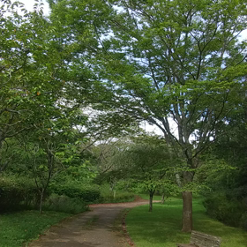 気まぐれ詩吟 ４回目「 よもすがら」の画像