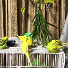 またまたお久しぶりです。の画像