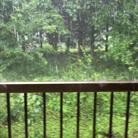 誰？器用に母屋の屋根からの画像