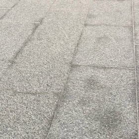 強風でしたね〜の画像