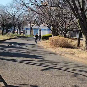 12/29 ミニ駅伝㉓の画像