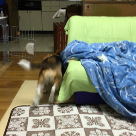 できるもんパート3の画像