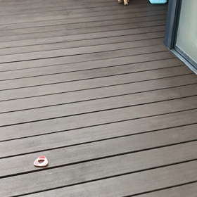 子犬たちの運動の時間です(^-^)の画像