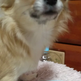 キョロキョロ…の画像