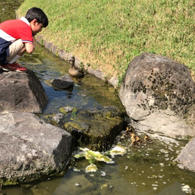 めちゃくちゃ可愛いです！の画像