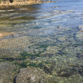 海〜動画①の画像