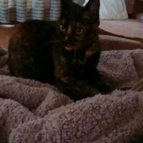 そんな季節。の画像