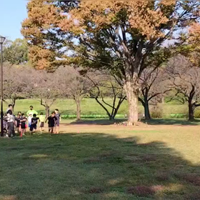 11/3 クロカンダッシュ④の画像