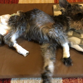 wasabiさんの動画④の画像