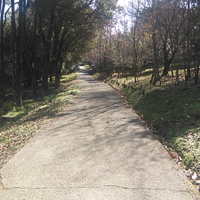 風邪強しの画像