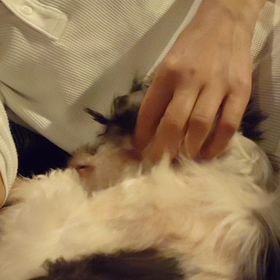 いつまでも ベビちゃんの画像