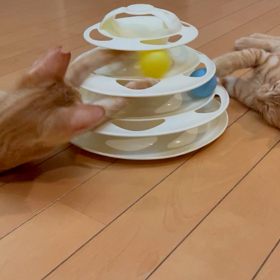 減らすのではなく増やすの画像