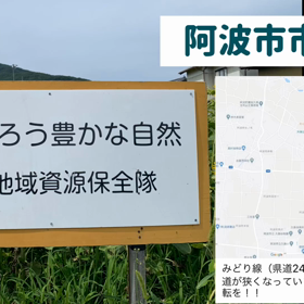 早咲きひまわり　市場町の画像