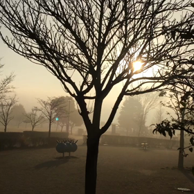 あの浮遊物は？何？の画像