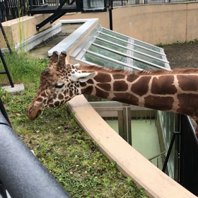初の帰省❸の画像