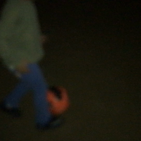 始まりました。我が家恒例のの画像