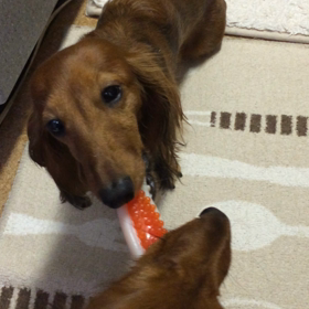 奪われた瞬間の画像