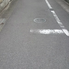 猛ダッシュ☆の画像