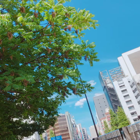 汐留だよりの画像