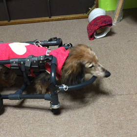 認知症が進んだ？の画像