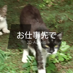 お仕事先での画像