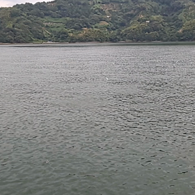 初めての光景の画像