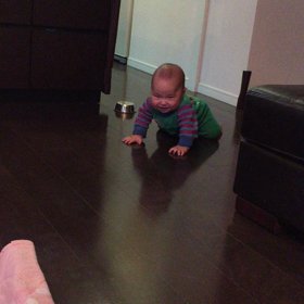 はいはいはーい。の画像