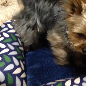 Ｎｏ．２のお気に入り♡の画像