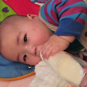 ミルクを飲む。の画像