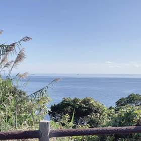 和歌山に来てますの画像