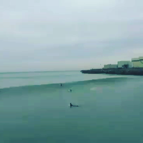 初ドローン☆の画像