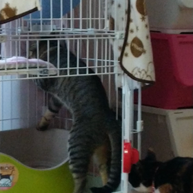 トイレタイムの画像